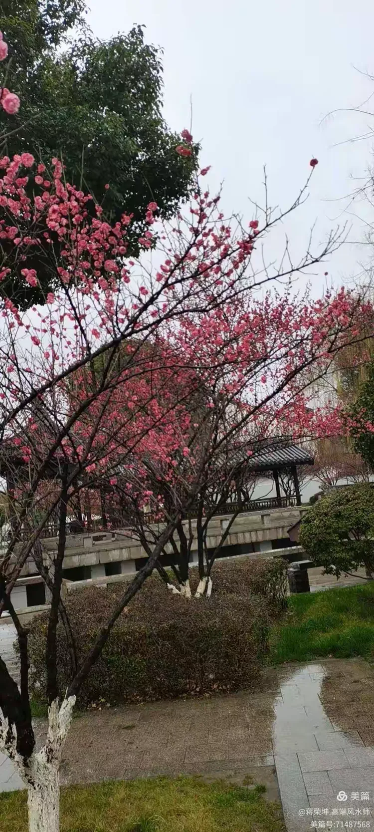 宿迁新建小区物管规模赢评612解昆师 宿迁新建小区物管规模赢评612解昆师